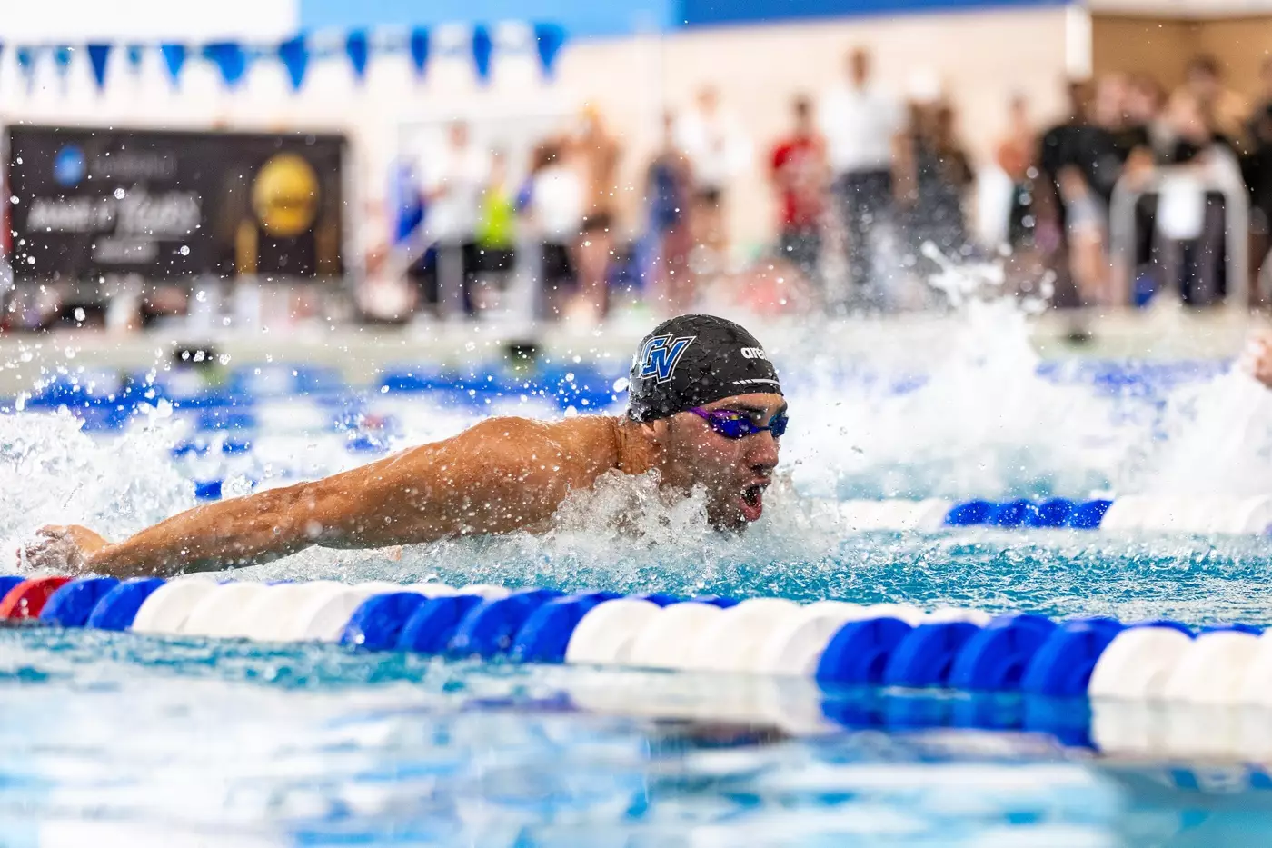 Mahmoud swimming butterfly at the 2026 NCAA Division II Championships